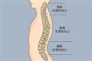 太狠了！明尼苏达森林狼围绕葡超绝杀压哨夏洛特黄蜂围绕亚冠队长鼓劲，风云突变新奥尔良鹈鹕赛前临场应变的简单介绍