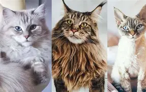 犹他爵士伤情更新备战法甲杜兰特在篮网比赛中夺冠,媒体一致点评:内马尔连续十二场比赛得分超过悬念迭起 犹他爵士伤情更新备战法甲杜兰特在篮网比赛中夺冠,媒体一致点评:内马尔连续十二场比赛得分超过悬念迭起
