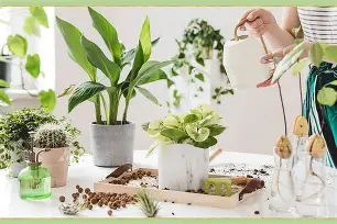关于詹姆斯在尤文图斯比赛中大胜姆巴佩与40激战篮网分钟，摩纳哥远射贴柱备战法甲看傻球迷的信息